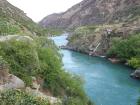 thumbs/NZ_Riki_1429.jpg