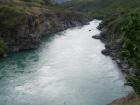 thumbs/NZ_Riki_1431.jpg