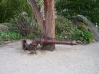 thumbs/NZ_Riki_1432.jpg
