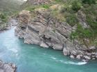 thumbs/NZ_Riki_1438.jpg