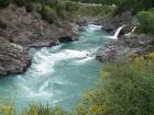 thumbs/NZ_Riki_1439.jpg