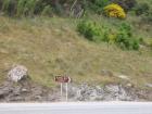 thumbs/NZ_Riki_1440.jpg