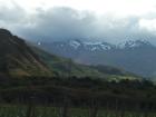 thumbs/NZ_Riki_1441.jpg