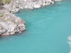 thumbs/NZ_Riki_1442.jpg