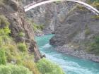 thumbs/NZ_Riki_1443.jpg
