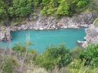 thumbs/NZ_Riki_1448.jpg