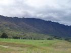 thumbs/NZ_Riki_1450.jpg