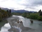 thumbs/NZ_Riki_1453.jpg