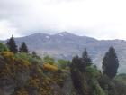 thumbs/NZ_Riki_1456.jpg