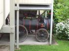 thumbs/NZ_Riki_1470.jpg