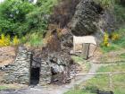 thumbs/NZ_Riki_1485.jpg