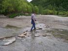 thumbs/NZ_Riki_1506.jpg