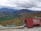 thumbs/NZ_Riki_1517.jpg