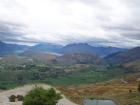 thumbs/NZ_Riki_1518.jpg
