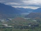 thumbs/NZ_Riki_1523.jpg