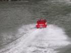 thumbs/NZ_Riki_1529.jpg