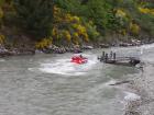 thumbs/NZ_Riki_1530.jpg