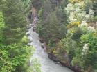thumbs/NZ_Riki_1533.jpg