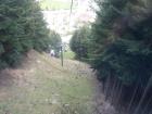 thumbs/NZ_Riki_1539.jpg