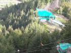 thumbs/NZ_Riki_1547.jpg