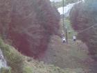 thumbs/NZ_Riki_1554.jpg