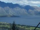 thumbs/NZ_Riki_1556.jpg
