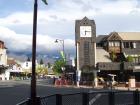 thumbs/NZ_Riki_1558.jpg