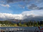 thumbs/NZ_Riki_1563.jpg