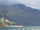 thumbs/NZ_Riki_1564.jpg