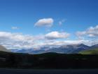 thumbs/NZ_Riki_1572.jpg