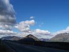 thumbs/NZ_Riki_1573.jpg