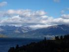 thumbs/NZ_Riki_1574.jpg