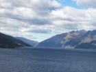 thumbs/NZ_Riki_1575.jpg