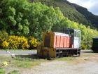 thumbs/NZ_Riki_1582.jpg