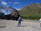 thumbs/NZ_Riki_1590.jpg
