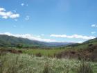 thumbs/NZ_Riki_1596.jpg