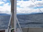 thumbs/NZ_Riki_1599.jpg