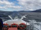 thumbs/NZ_Riki_1600.jpg