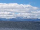thumbs/NZ_Riki_1603.jpg