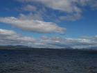 thumbs/NZ_Riki_1604.jpg