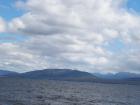 thumbs/NZ_Riki_1612.jpg
