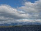 thumbs/NZ_Riki_1615.jpg