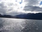 thumbs/NZ_Riki_1618.jpg