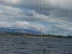 thumbs/NZ_Riki_1619.jpg