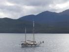 thumbs/NZ_Riki_1625.jpg