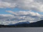 thumbs/NZ_Riki_1626.jpg