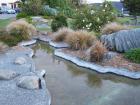 thumbs/NZ_Riki_1629.jpg