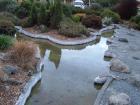 thumbs/NZ_Riki_1630.jpg