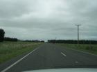 thumbs/NZ_Riki_1634.jpg