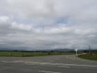 thumbs/NZ_Riki_1635.jpg
